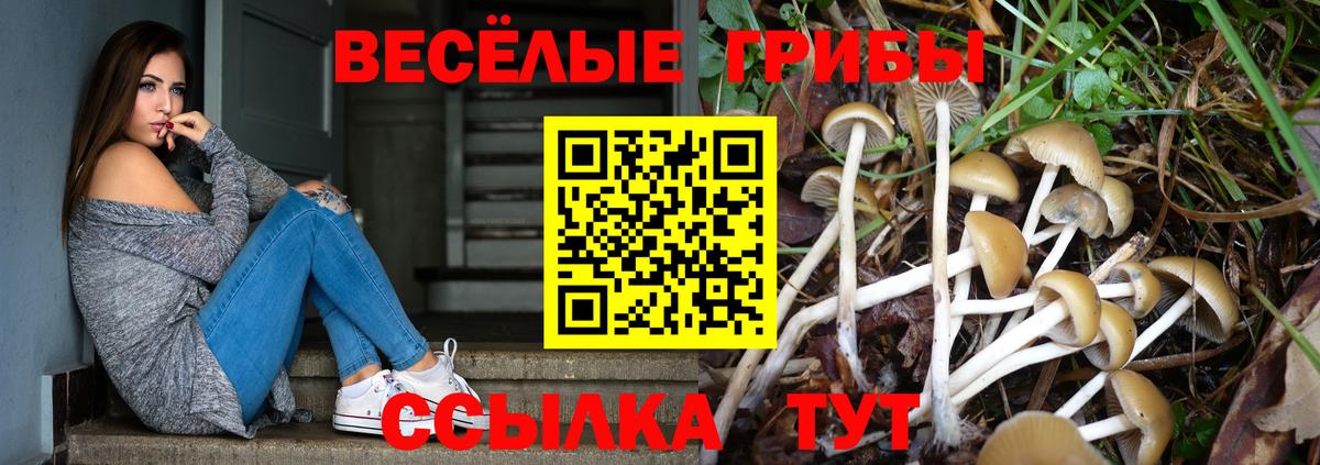 Псилоцибиновые грибы GOLDEN TEACHER  Псилоцибиновые грибы мицелий  Сокол  Вход с VPN 